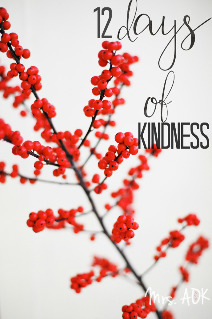 12 Days Of Kindness Ideas That s What She Said Blog 12-days-of-kindness-ideas-that-s-what-she-said-blog